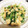 大熊猫さん's cooksnap of when they made 水菜と油揚げのおひたし.
