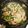 クックAAKMT5☆'s cooksnap of when they made こりゃ旨い！☆豚肉のヘルシー味噌炒め♪.