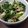 あゆたっくん's cooksnap of when they made ご飯がすすむ♪大根菜と大豆の炒め煮.