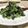 クックO4C010☆'s cooksnap of when they made カミカミ！こまつなのふりかけ.