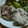 とさかん's cooksnap of when they made ★鯖の竜田揚げ★.