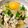 JUN★M's cooksnap of when they made つゆだく豚丼ヾ(＠⌒ー⌒＠)ノ.