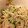 happyelle's cooksnap of when they made 簡単！切干大根と鶏ささみの明太マヨあえ.
