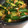 ごめっきー's cooksnap of when they made 簡単☆キムチときゅうりの炒め物.