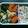 tapioka18's cooksnap of when they made 私の定番！簡単キャベツとしめじの中華炒め.