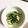 ♡Koshi♡'s cooksnap of when they made 水菜としいたけのごまだれあえ.