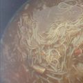 sint21's cooksnap of when they made カレーの残りで！簡単生姜春雨スープ.