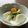 にゃん☆28's cooksnap of when they made ♪野菜♪蕪と柿の浅漬け.
