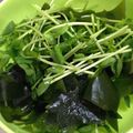 ♪うさぴょん♪'s cooksnap of when they made 簡単すぎる♡豆苗とワカメのサラダ♡.
