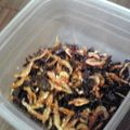ごりあちゃん's cooksnap of when they made 苦くない簡単ゴーヤの佃煮☆作り置きおかず.