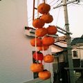 ☆sofuka☆'s cooksnap of when they made 渋柿が甘くなる！干し柿！！.
