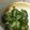 クック6V4YC5☆'s cooksnap of when they made 簡単♪きゅうりだけ酢の物.