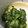 クック6V4YC5☆'s cooksnap of when they made 簡単♪きゅうりだけ酢の物.