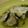 don_doko's cooksnap of when they made ミミジャー（ヒメフエダイ）のマース煮.