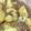 江本萌's cooksnap of when they made ＊じゃがいもそぼろあんかけ＊.