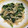 ゆみ0219's cooksnap of when they made 超簡単！ほうれん草とえのきの胡麻合え.