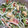 しんしょうはは's cooksnap of when they made 豆苗と大根のわさびマヨサラダ.