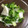 カワカリ☆'s cooksnap of when they made 美味しい! 簡単! 白菜&カブの和え物☆.