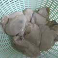 クックHU9I01☆'s cooksnap of when they made 叔母直伝☆牡蠣の洗い方.