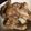 ひろひよ's cooksnap of when they made ウケる!!簡単材料の手羽元オーブン焼き.