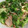 305☆'s cooksnap of when they made 野菜たっぷり☆和風焼きそば.