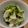 クックBR1CLD☆'s cooksnap of when they made かぶの浅漬けゆず風味.