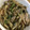 夏葵ママ's cooksnap of when they made 舞茸ベーコンのマヨ醤油炒め.