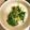 magma☆'s cooksnap of when they made 水菜のお浸し.