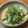 おはなすき's cooksnap of when they made 節約★小松菜の干しエビ炒め煮.