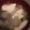 amy108's cooksnap of when they made 簡単！和食♪大根と豆腐、湯葉のお吸い物.