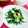 SP♪'s cooksnap of when they made 小松菜と長芋☆塩昆布おかか和え.