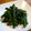 おぶうさま's cooksnap of when they made ささげ豆のごま和え.