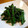 おぶうさま's cooksnap of when they made ささげ豆のごま和え.