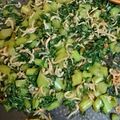 みっぽー0307's cooksnap of when they made 大根の葉っぱとじゃこ炒め.