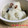 ＊∞nabo∞＊'s cooksnap of when they made かぶの千枚漬け.