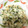 クックPT05YQ☆'s cooksnap of when they made 鮭フレークとサラダほうれん草のまぜご飯.
