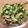 メロンパンマン's cooksnap of when they made 水菜の白和え.