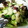 ka321ri's cooksnap of when they made ☺材料３つで簡単♪いろいろ使えるマリネ液.