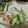 yukitarooo's cooksnap of when they made 煮干しの酢の物♪南蛮漬け風.