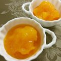 ☆Rokko☆'s cooksnap of when they made 熟しすぎちゃった柿シャーベット.