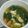 tukiyo★'s cooksnap of when they made 簡単♪小松菜スープ.