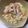 クックI6NLMD☆'s cooksnap of when they made ネギだく☆ほぐし鯵のねこまんま！.