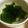 あさここなっつ's cooksnap of when they made 春雨とわかめのスープ.