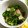 eclat♡'s cooksnap of when they made 簡単☆レタス炒め.