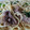 better one's cooksnap of when they made 小松菜と牛肉の和風パスタ.