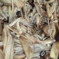 たぁこヨネ's cooksnap of when they made レンジで簡単 キノコのマリネ.