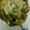 ゴン兄's cooksnap of when they made ネギ大量消費!!簡単ネギチーズ炒め.
