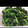 masae0608's cooksnap of when they made ほうれん草のおひたし.
