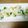 picanuts☆'s cooksnap of when they made お弁当に☆ はんぺんのネギ焼き。.