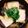 クックT6Q77P☆'s cooksnap of when they made 舞茸と油揚げで美味しい！冷たい麺のつけ汁.